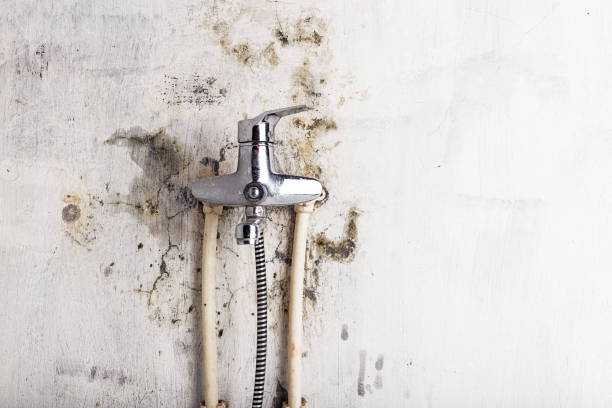 Water Damage Restoration in Fountain Hills, AZ