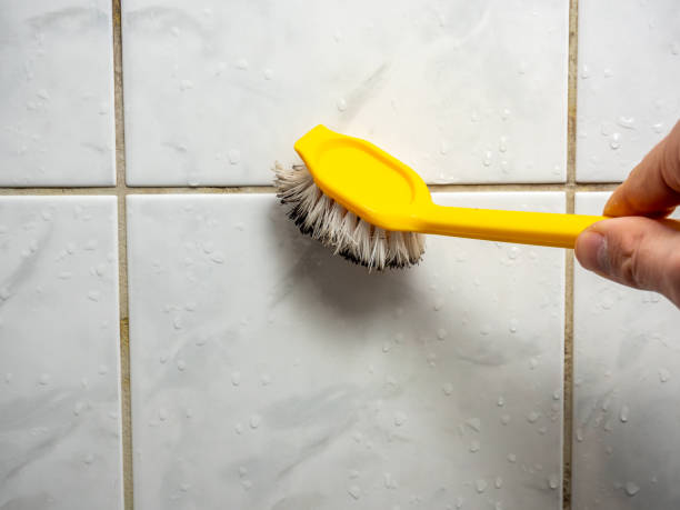 Best Mold Testing  in Fountain Hills, AZ