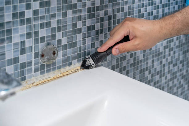 Best Mold Damage Repair  in Fountain Hills, AZ