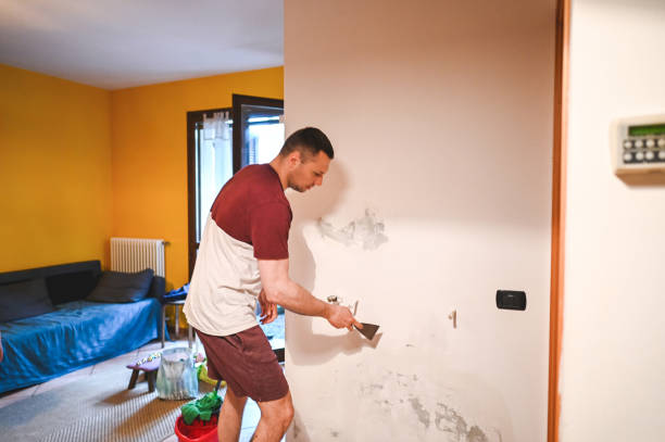 Best Residential Mold Removal  in Fountain Hills, AZ